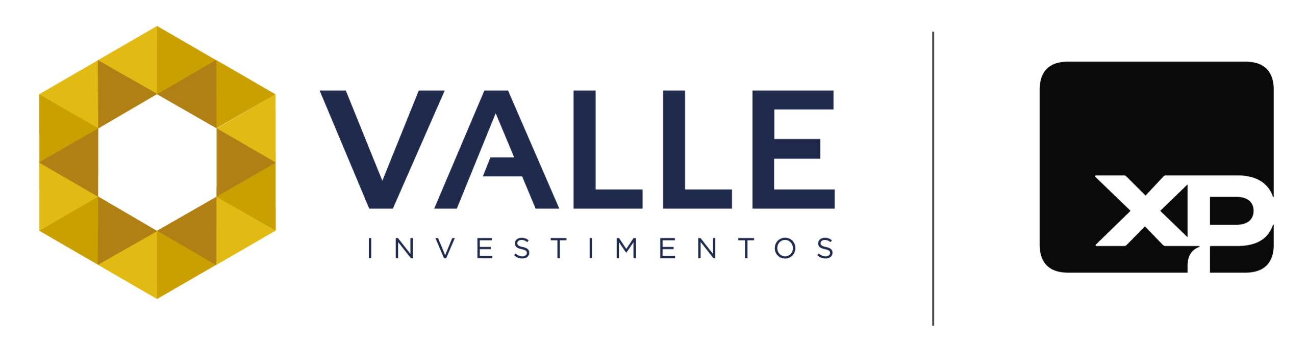 VALLE Investimentos
